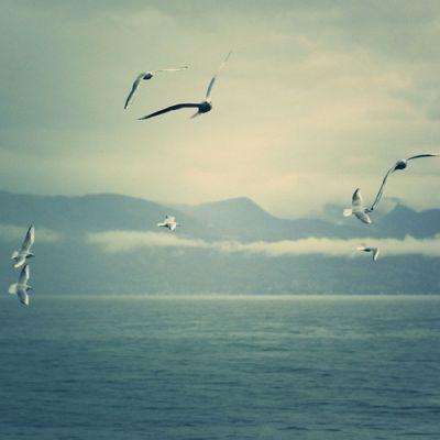 搞笑的标枪比赛