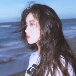 小黑花花世界杯